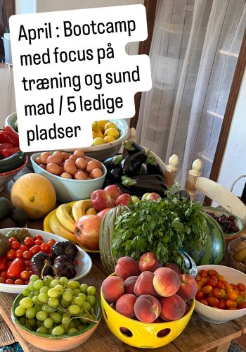 Bootcamp med Michelle & Louise – Malaga April 2026