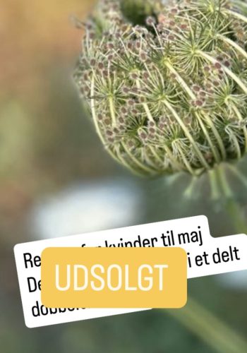 Retreat Malaga 6.–10. maj 2026