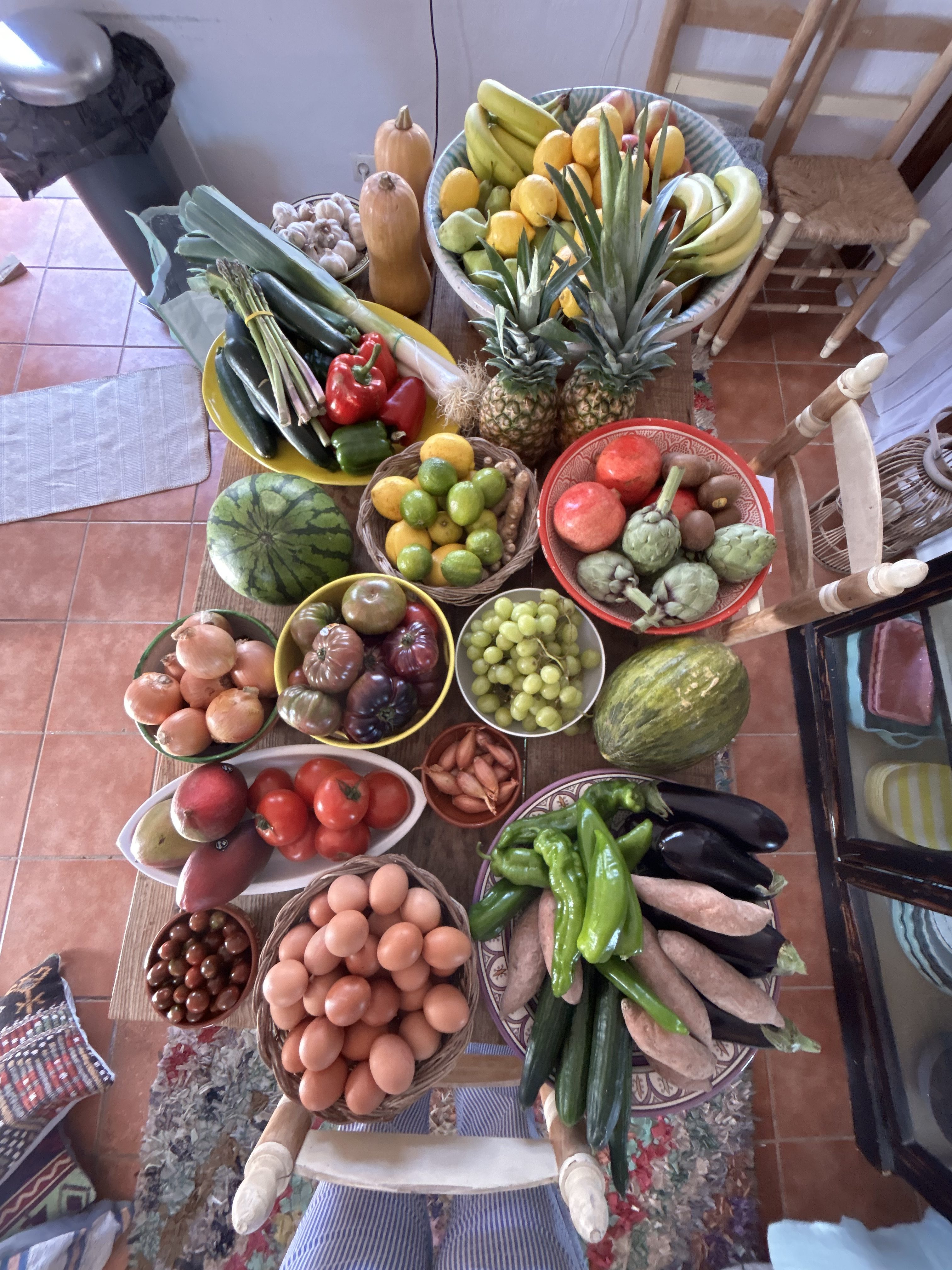 Træningsbootcamp Malaga 21-25/4 2027 - Billede 2