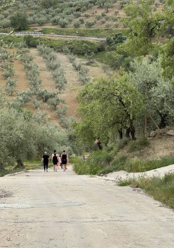 Træningsbootcamp Malaga 21-25/4 2027