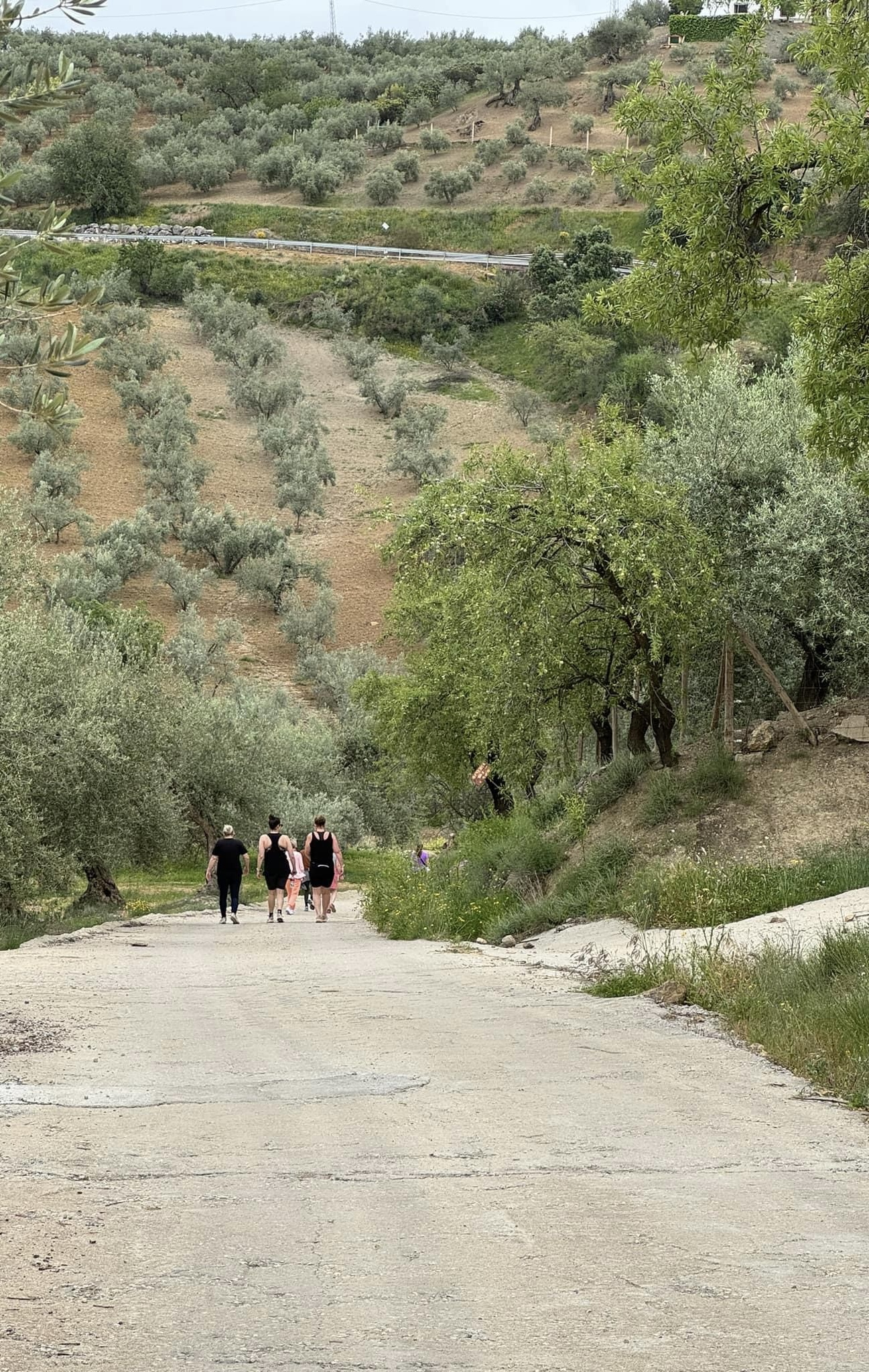 Træningsbootcamp Malaga 21-25/4 2027