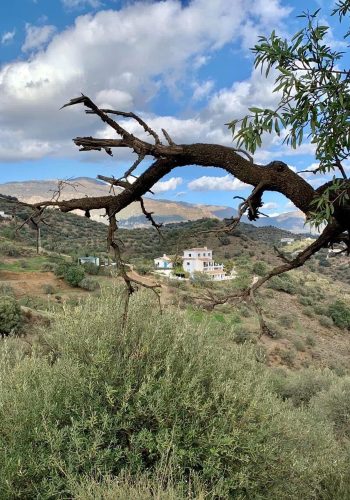 Retreat Malaga 23-27. sep 2026